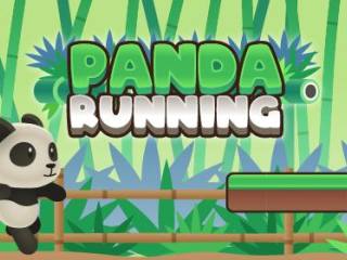 Panda Running